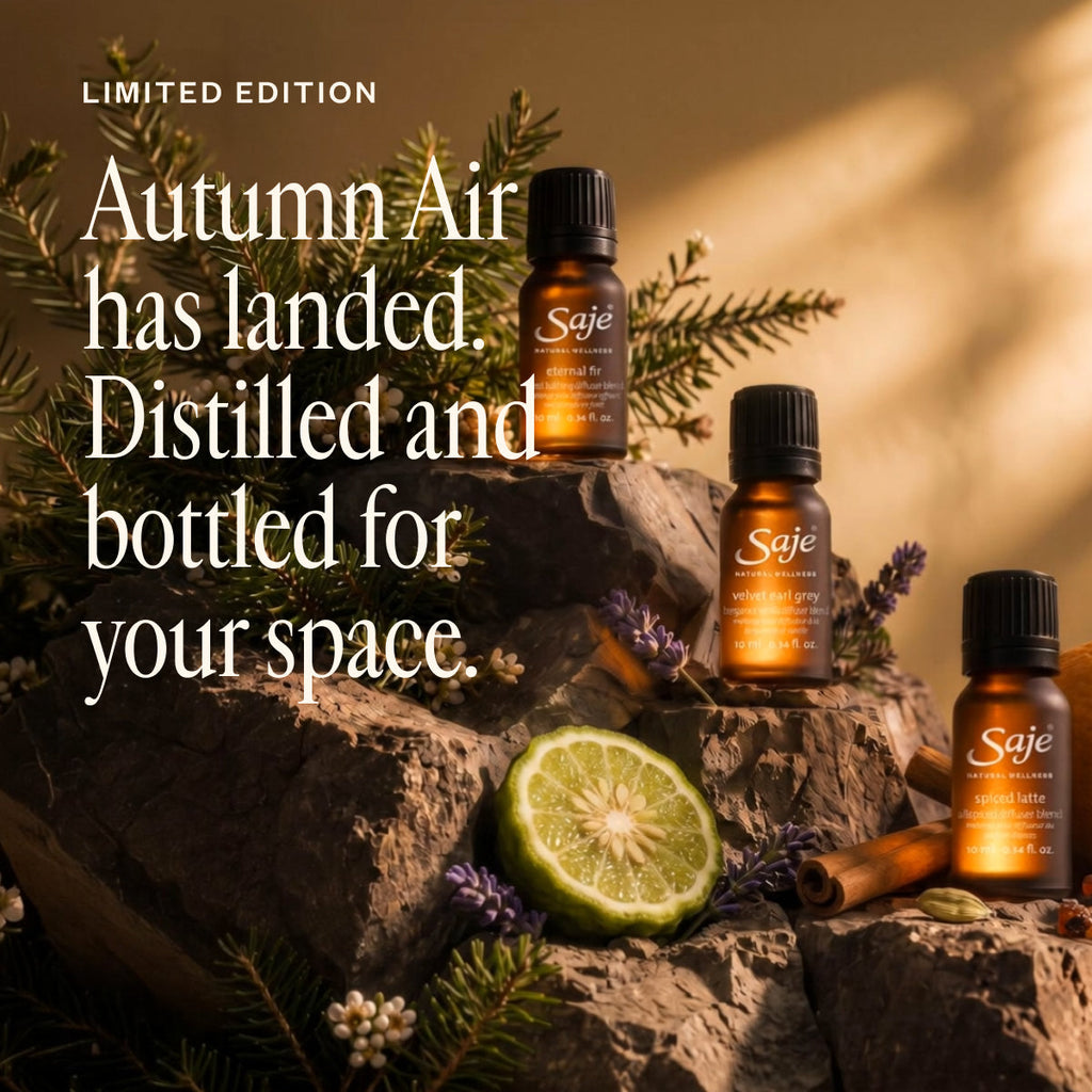 Autumn Air Collection M6