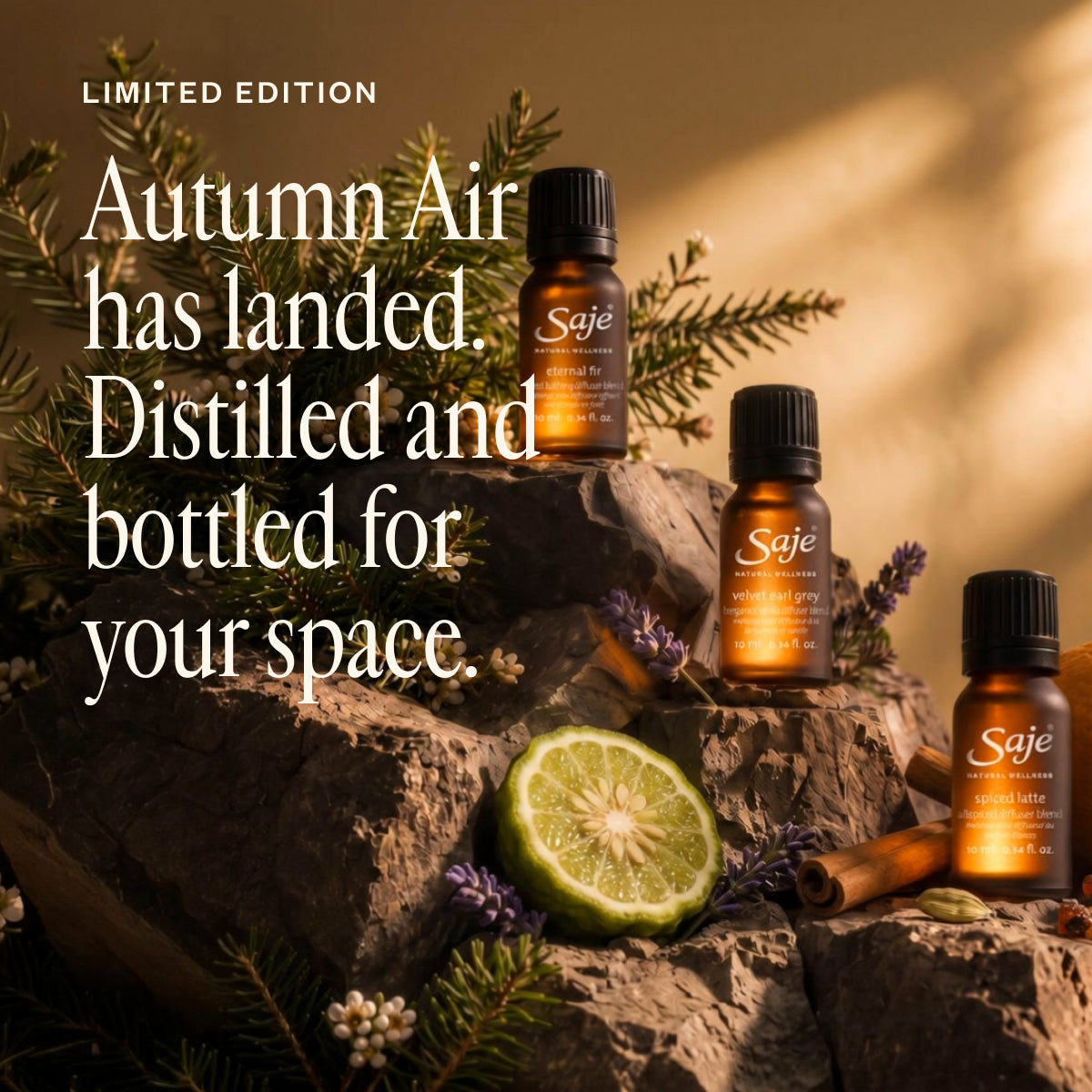 Autumn Air Collection M6