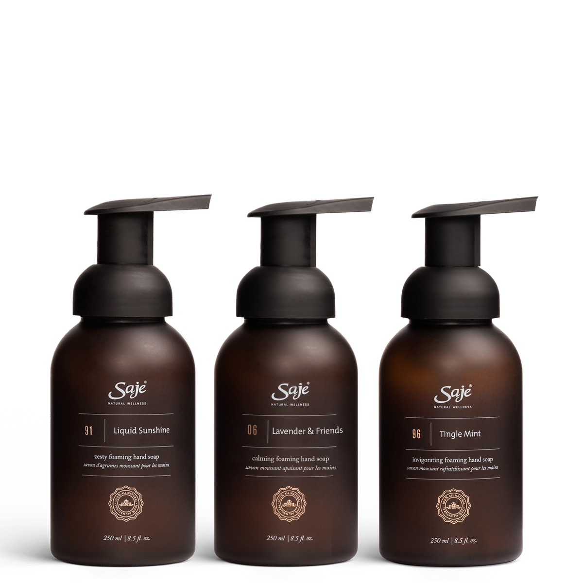 Foaming Hand Soap Trio F0