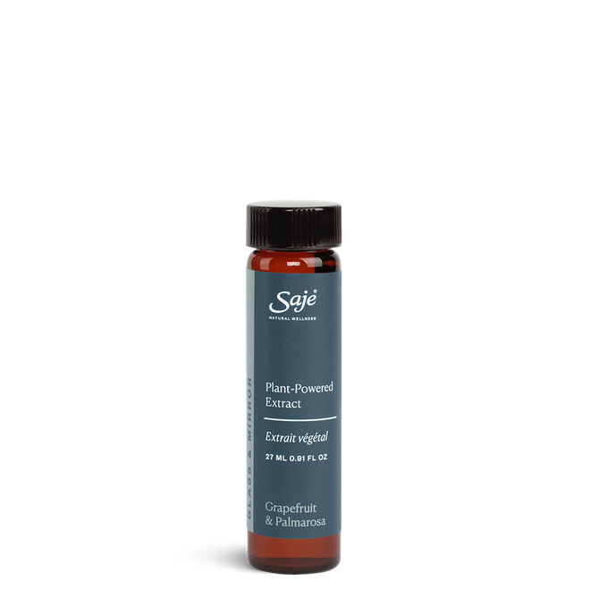 Glass and Mirror Cleaning Refill L4