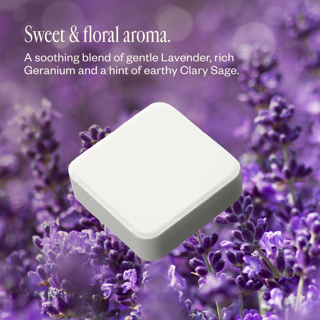 Lavender Bliss U2