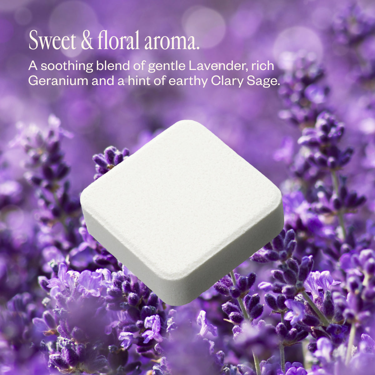 Lavender Lathers F1