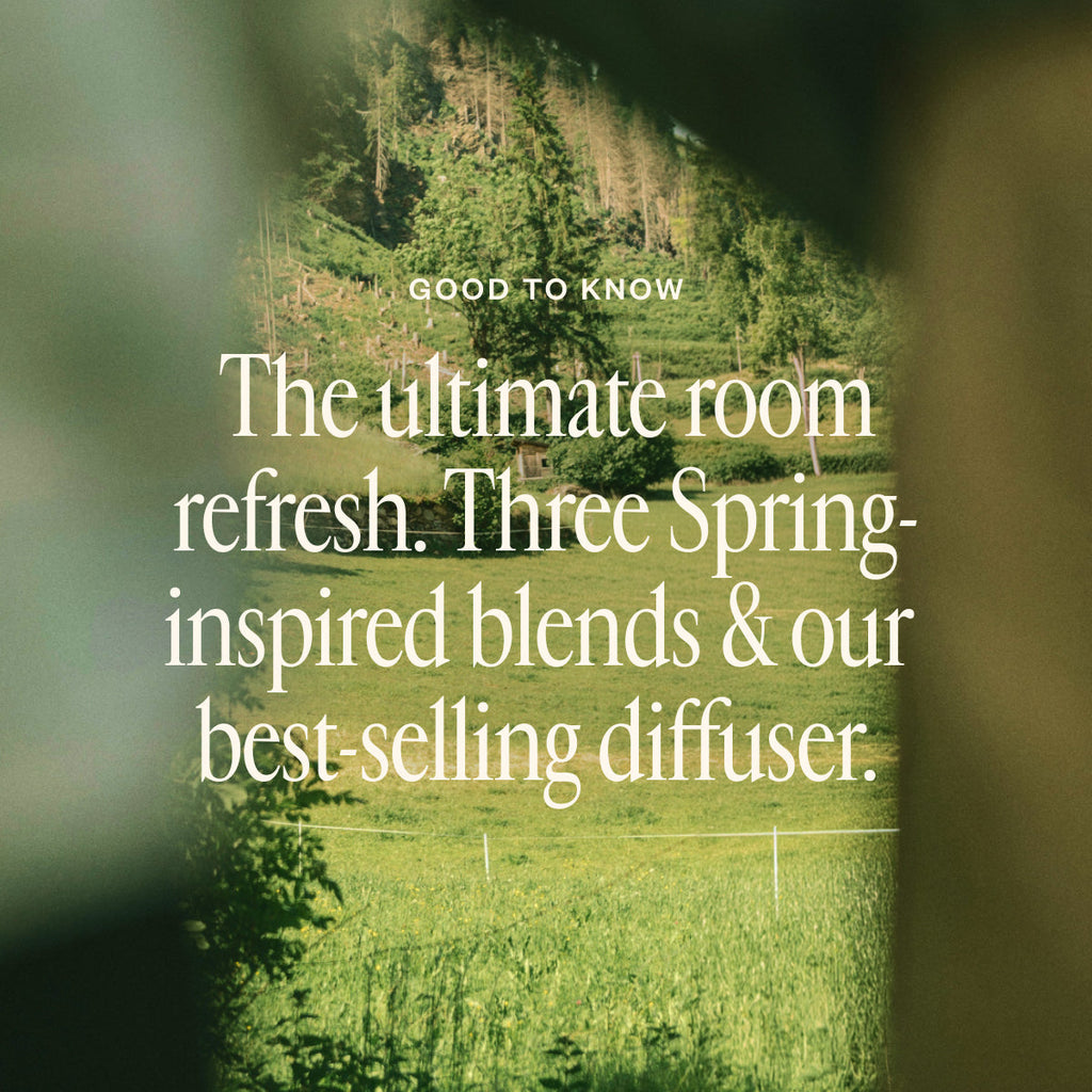 Spring Refresh Diffuser Bundle G8