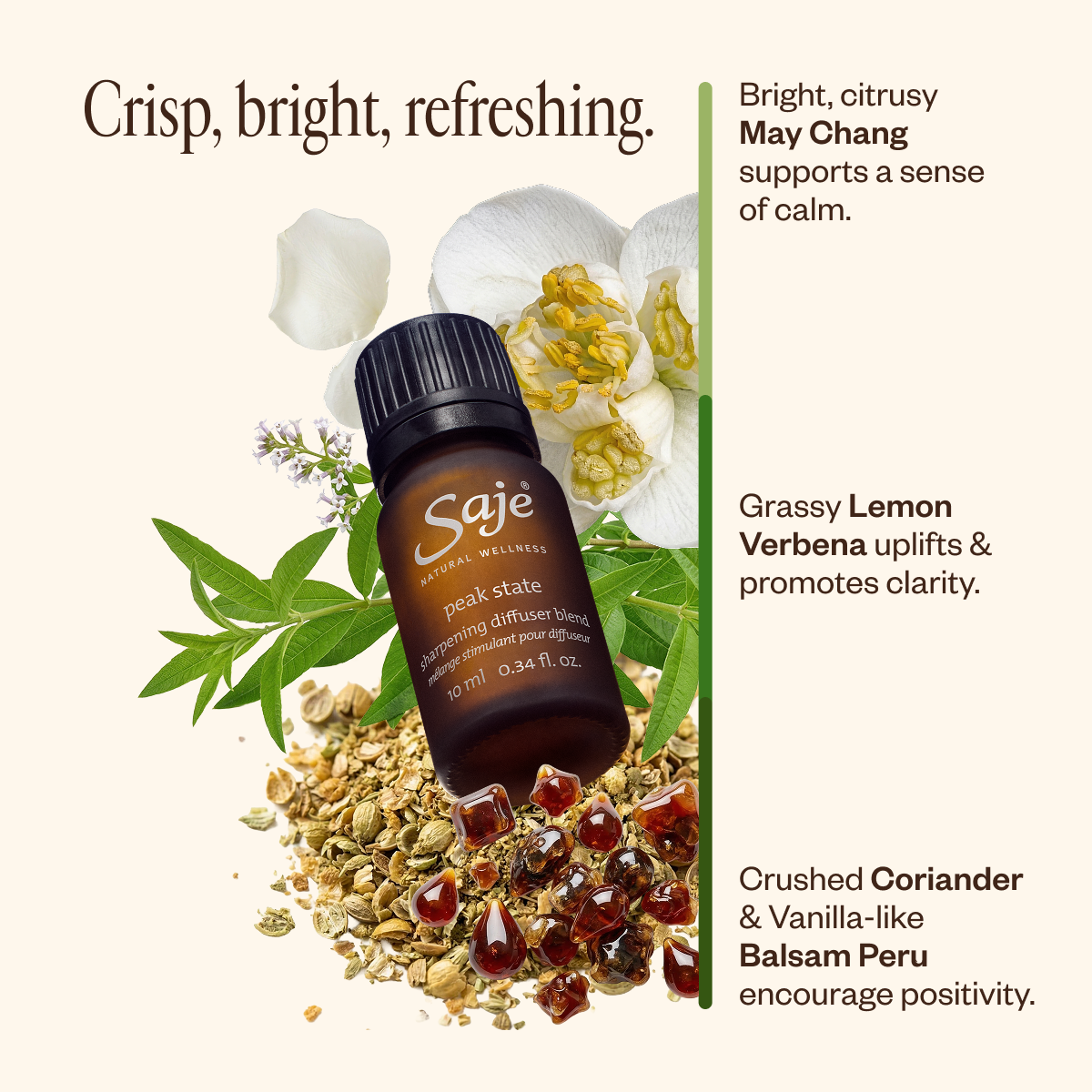Spring Refresh Diffuser Bundle G8